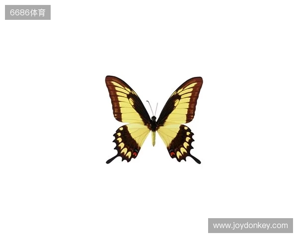 破茧成蝶:Legacy如何登顶南美、跻身世界顶尖行列 破茧成蝶:Legacy如何登顶南美、跻身世界顶尖行列